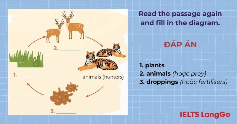 Bài tập 3 Tiếng Anh 9 Unit 10 Skills 1