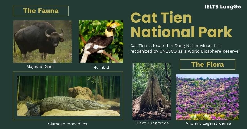 Poster mẫu Project Unit 10 Lớp 9