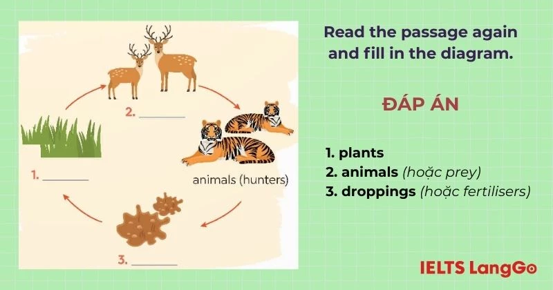 Bài tập 3 Tiếng Anh 9 Unit 10 Skills 1