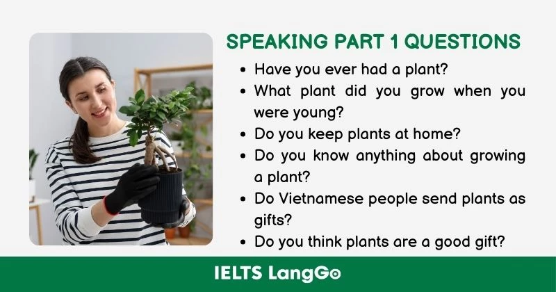 Topic Plants IELTS Speaking Part 1 Questions