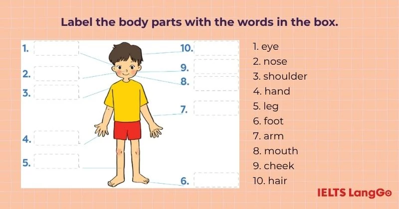 Bài tập 3 Tiếng Anh 6 Unit 3 Getting Started