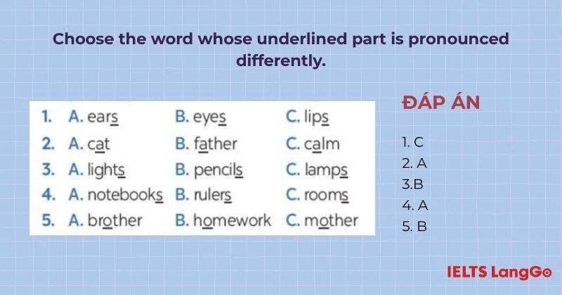 Bài tập 1 Tiếng Anh 6 Review 1 Language