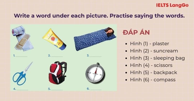 Bài tập 1 Tiếng Anh 6 Unit 5 A Closer Look 1