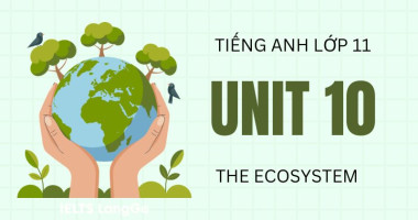 Đáp án Tiếng Anh lớp 11 Unit 10 Global Success: The Ecosystem chi tiết