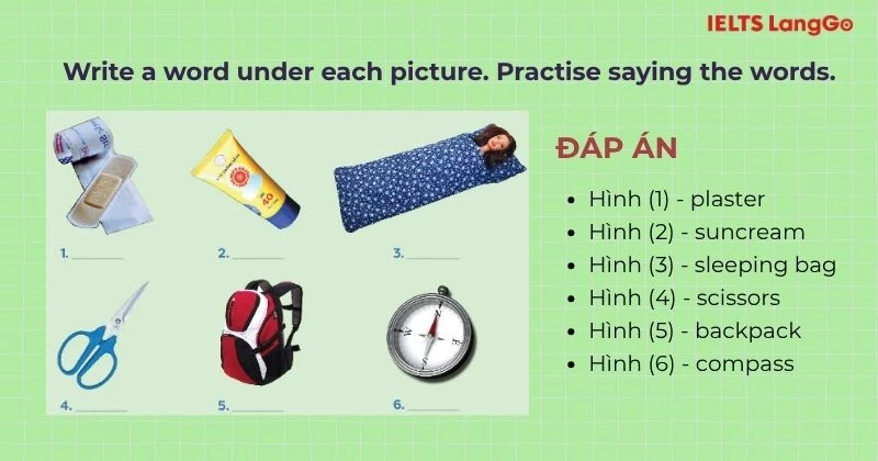 Bài tập 1 Tiếng Anh 6 Unit 5 A Closer Look 1