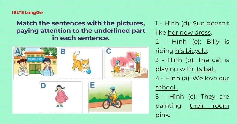 Bài tập 1 Tiếng Anh 6 Unit 9 A Closer Look 2