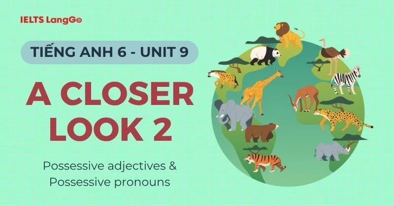 Đáp án Tiếng Anh 6 Unit 9 A Closer Look 2 Global Success (Grammar)