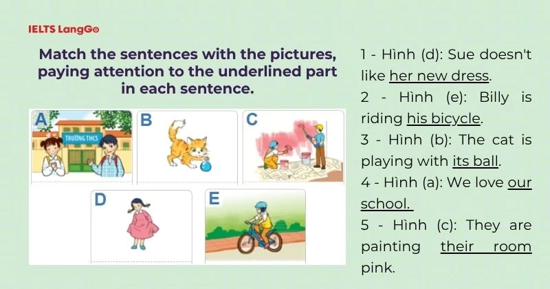 Bài tập 1 Tiếng Anh 6 Unit 9 A Closer Look 2