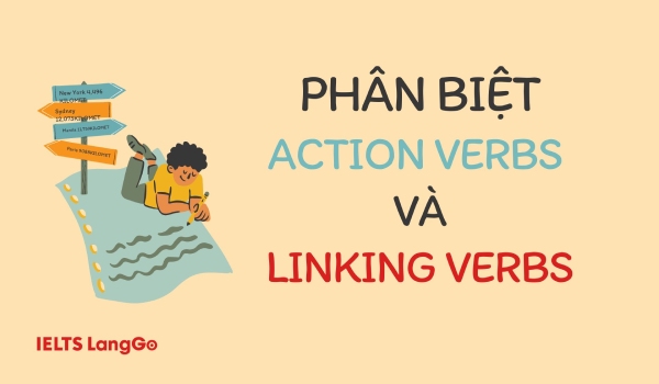 Phân biệt Action verb and Linking verb