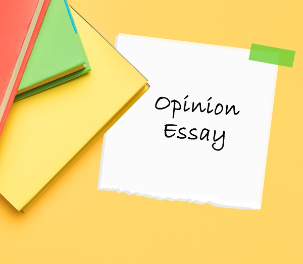 Cùng tham khảo một số opinion essay mẫu nhé