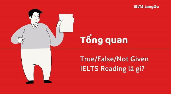 True False Not Given IELTS Reading là gì? 
