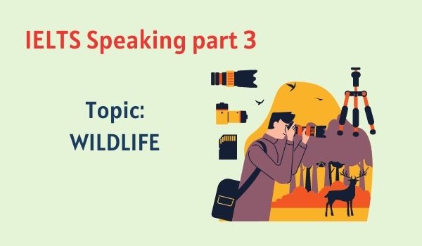Các câu hỏi trong IELTS Speaking part 3 topics Wildlife