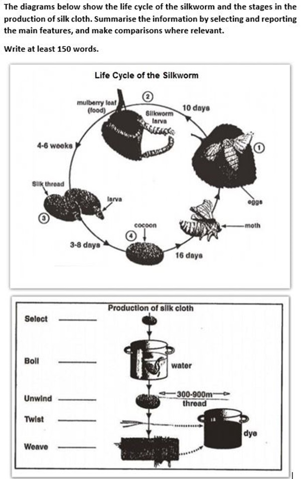 Process IELTS về life cycle of the silkworm and the stages in the production of silk cloth