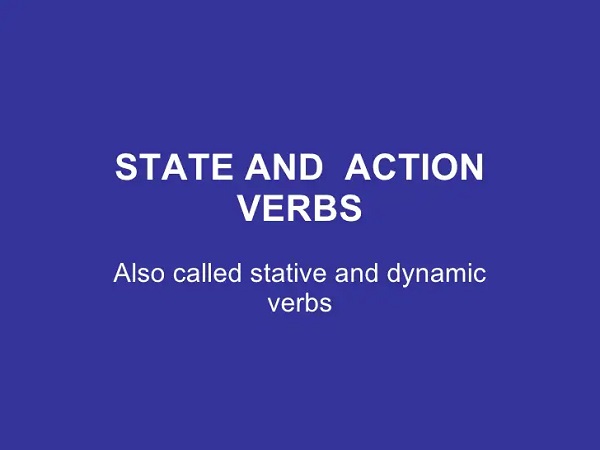 phân biệt state and stative verbs