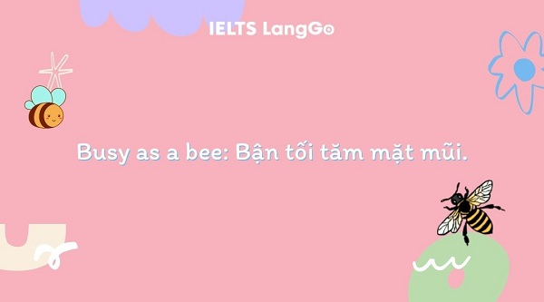 Những chú ong luôn bận rộn và đó là lý do chúng xuất hiện ở thành ngữ này