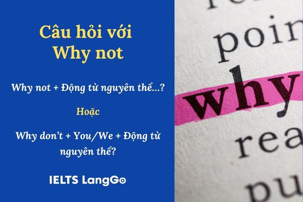 Cấu trúc “Why not” trong tiếng Anh và cách sử dụng
