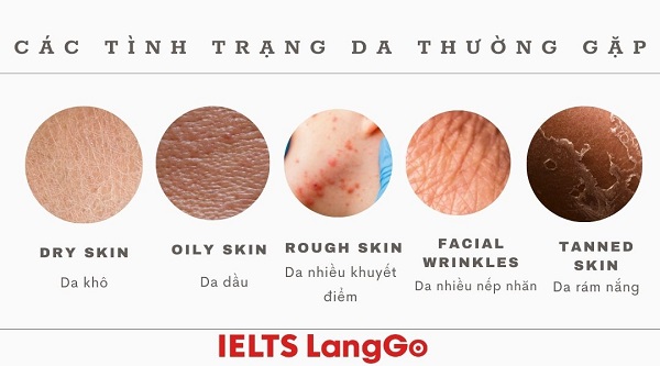 Makeup vocabulary về các loại da thường gặp