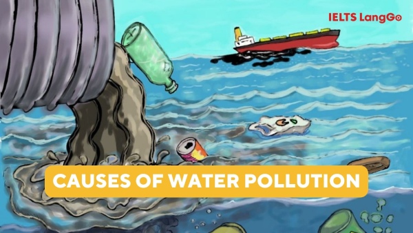 Từ vựng tiếng Anh về các nguyên nhân gây ra ô nhiễm nước