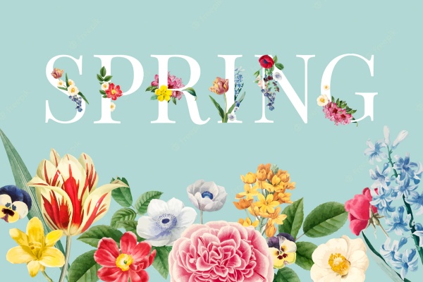 Những idioms hay về mùa xuân trong tiếng Anh